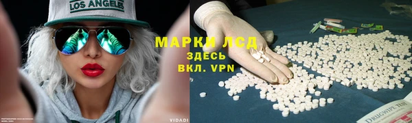 шишки Приозерск