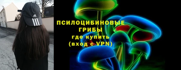 apvp Алексин