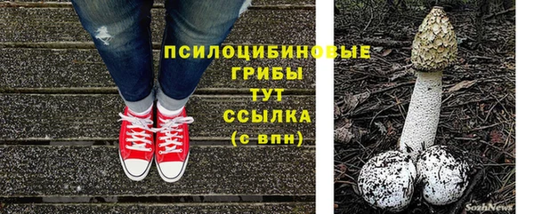 винт Арсеньев