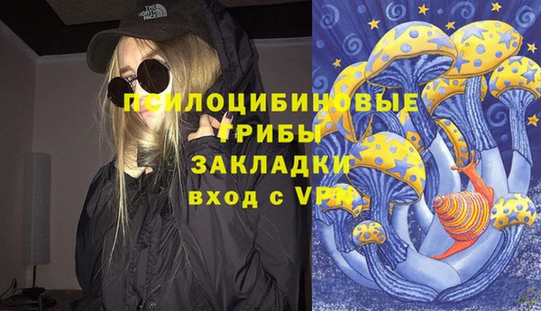 стафф Алзамай