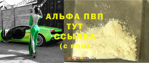 шишки Приозерск