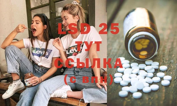 ГАЛЛЮЦИНОГЕННЫЕ ГРИБЫ Алексеевка