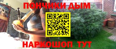 индика Комсомольск-на-Амуре