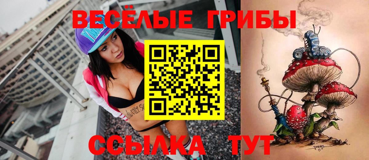Галлюциногенные грибы GOLDEN TEACHER Лесосибирск