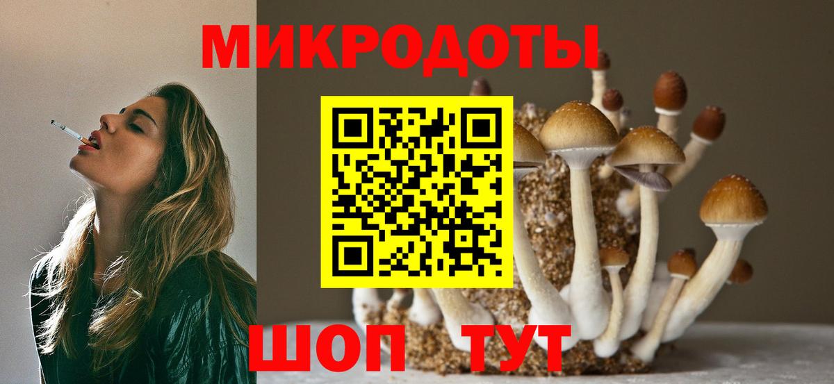 Галлюциногенные грибы Psilocybine cubensis  Вход с VPN  Галлюциногенные грибы мухоморы  Лесосибирск 