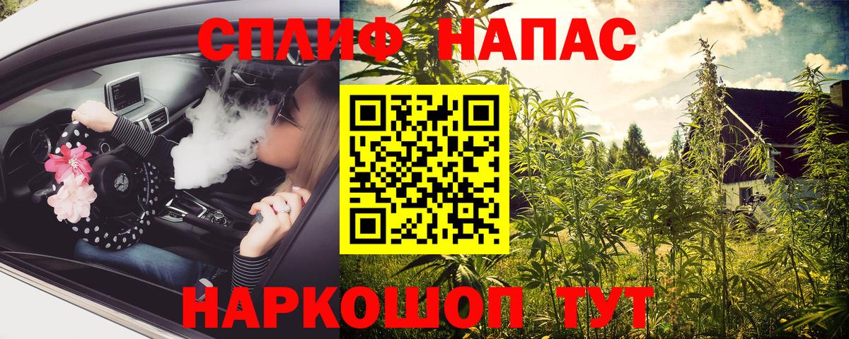 Конопля ГИДРОПОН Лесосибирск